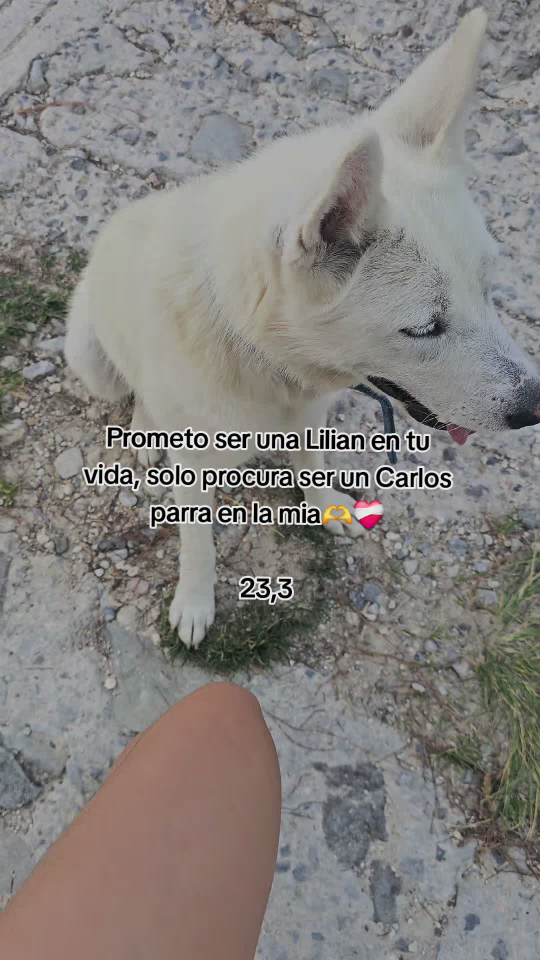 @Yeim