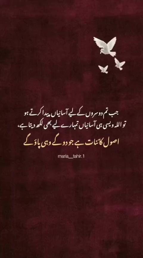 @Musa Bhai 👑