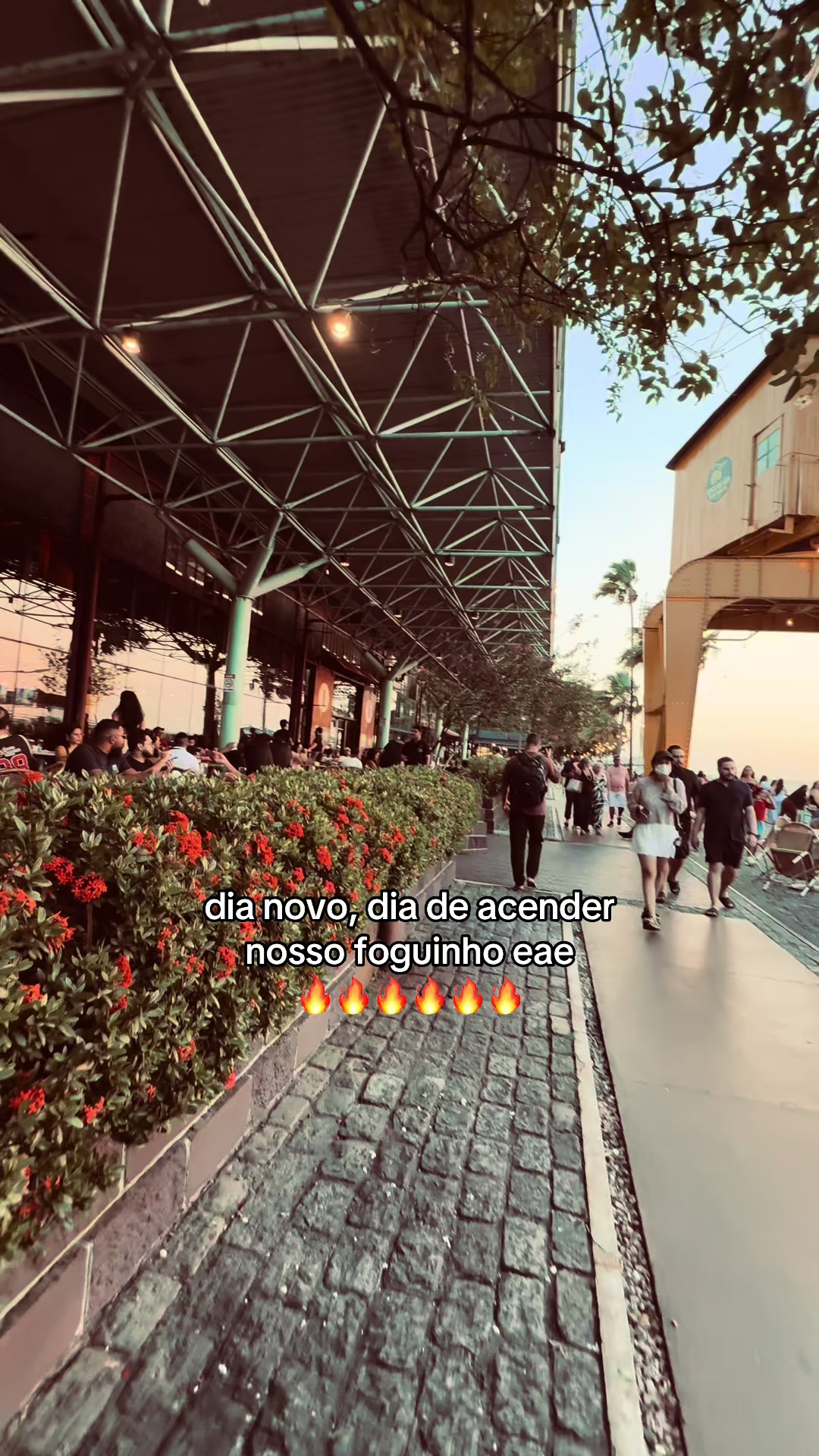 @Swan ❤️🔥