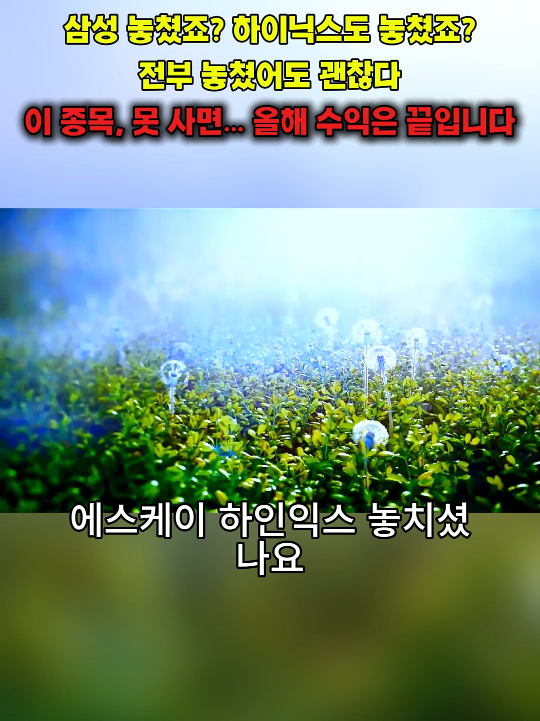 @단타 사냥꾼
