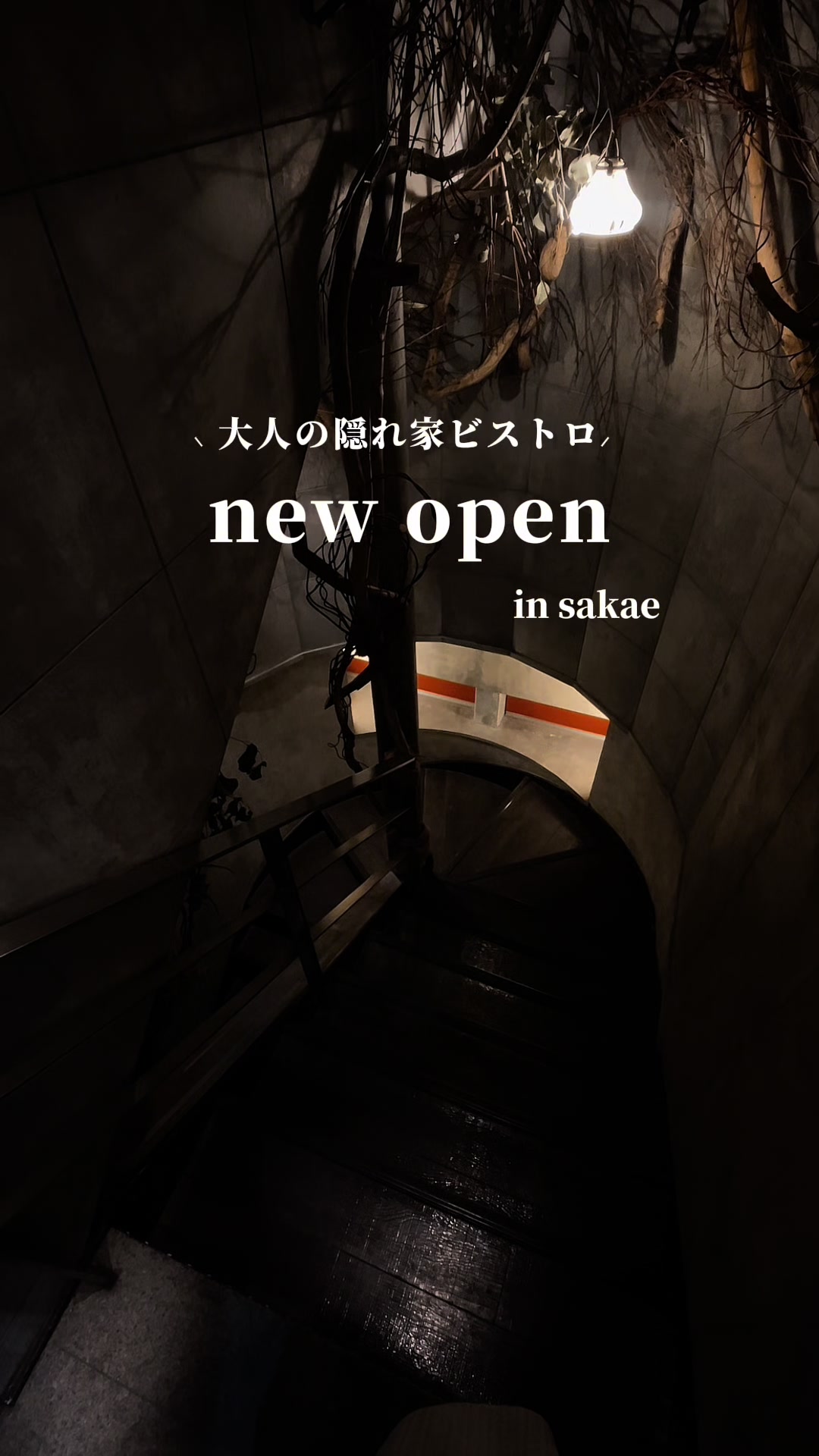 @shiori.cafegourmet