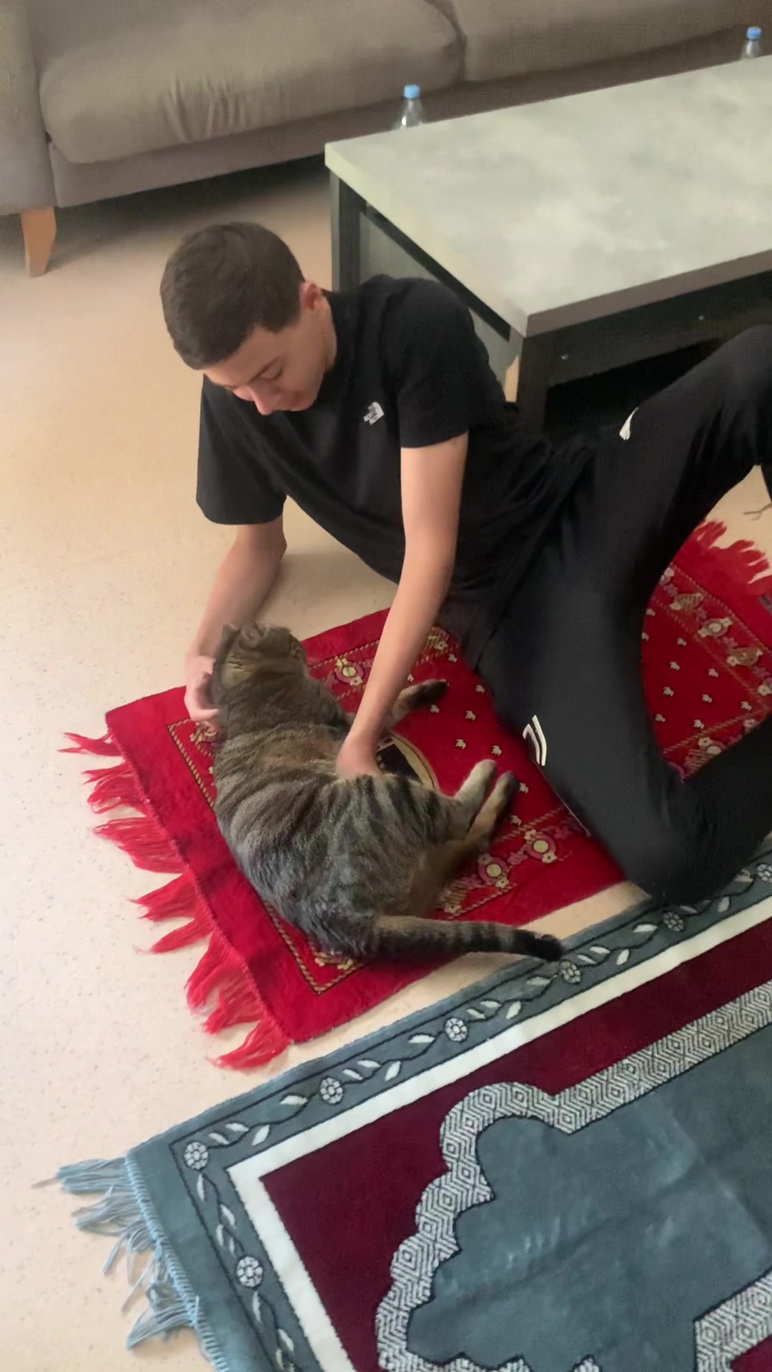 @flasher et simba