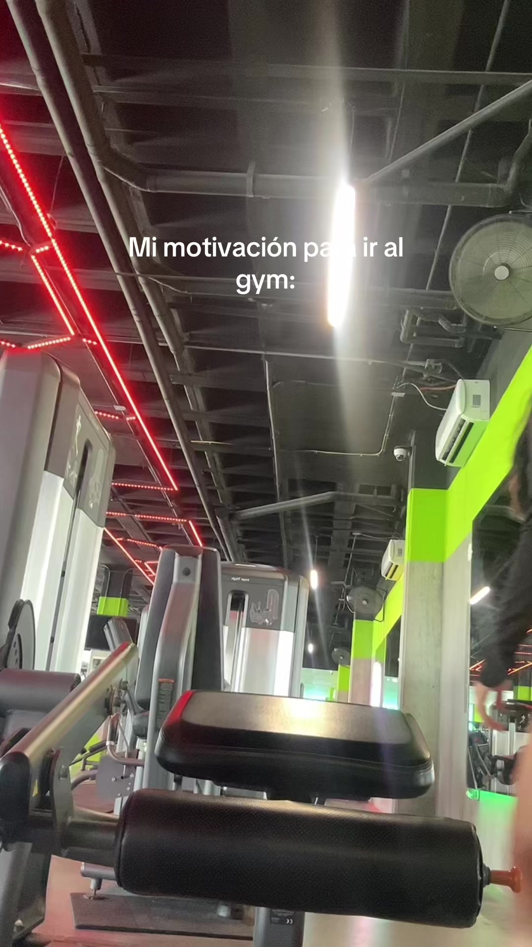 @angie moreno