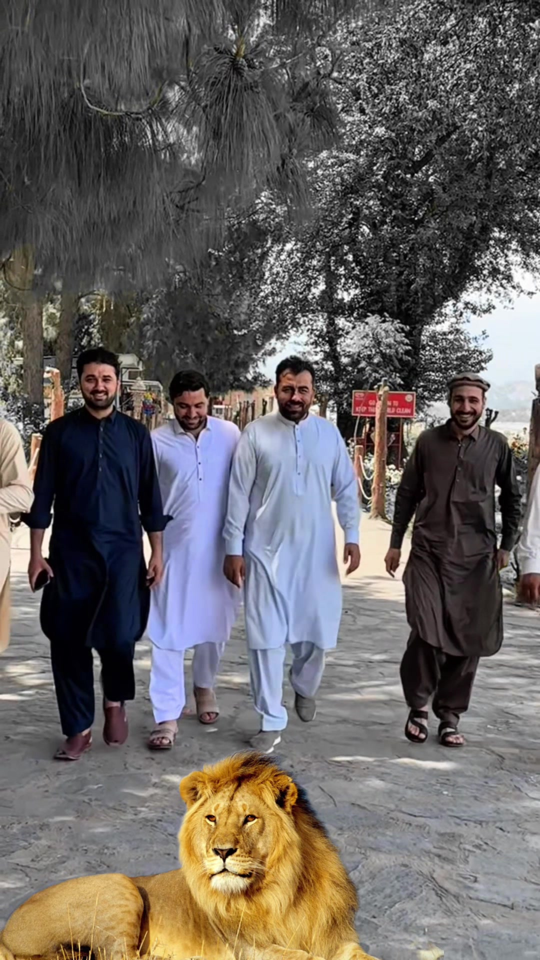 @IRFAN SAFI