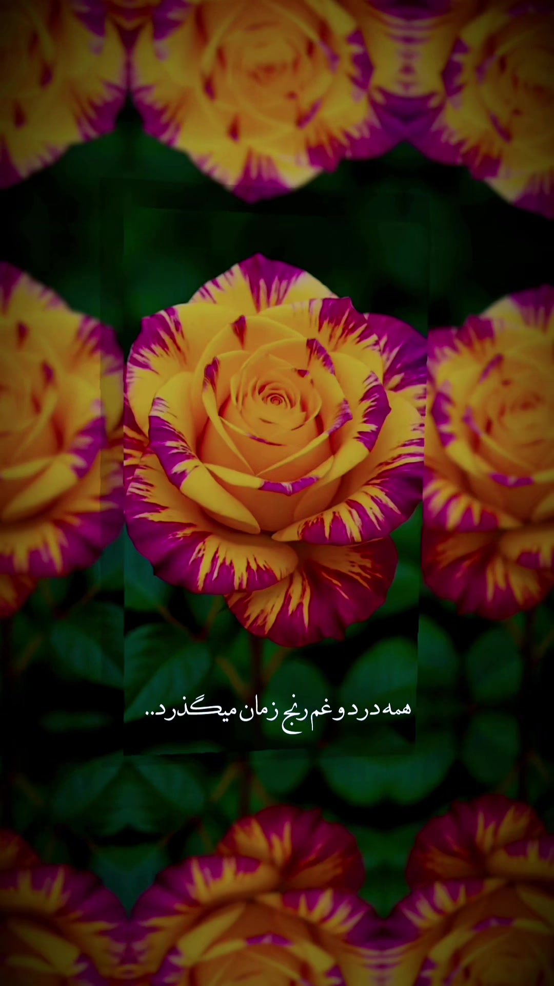 @MADINA