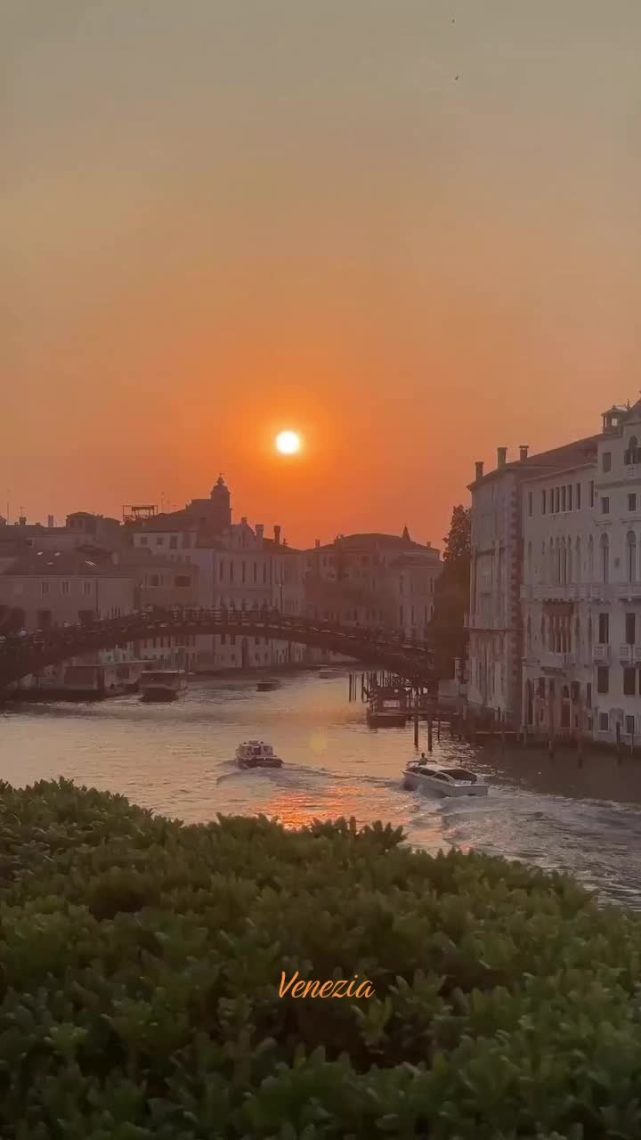 @Antonia Vecchi