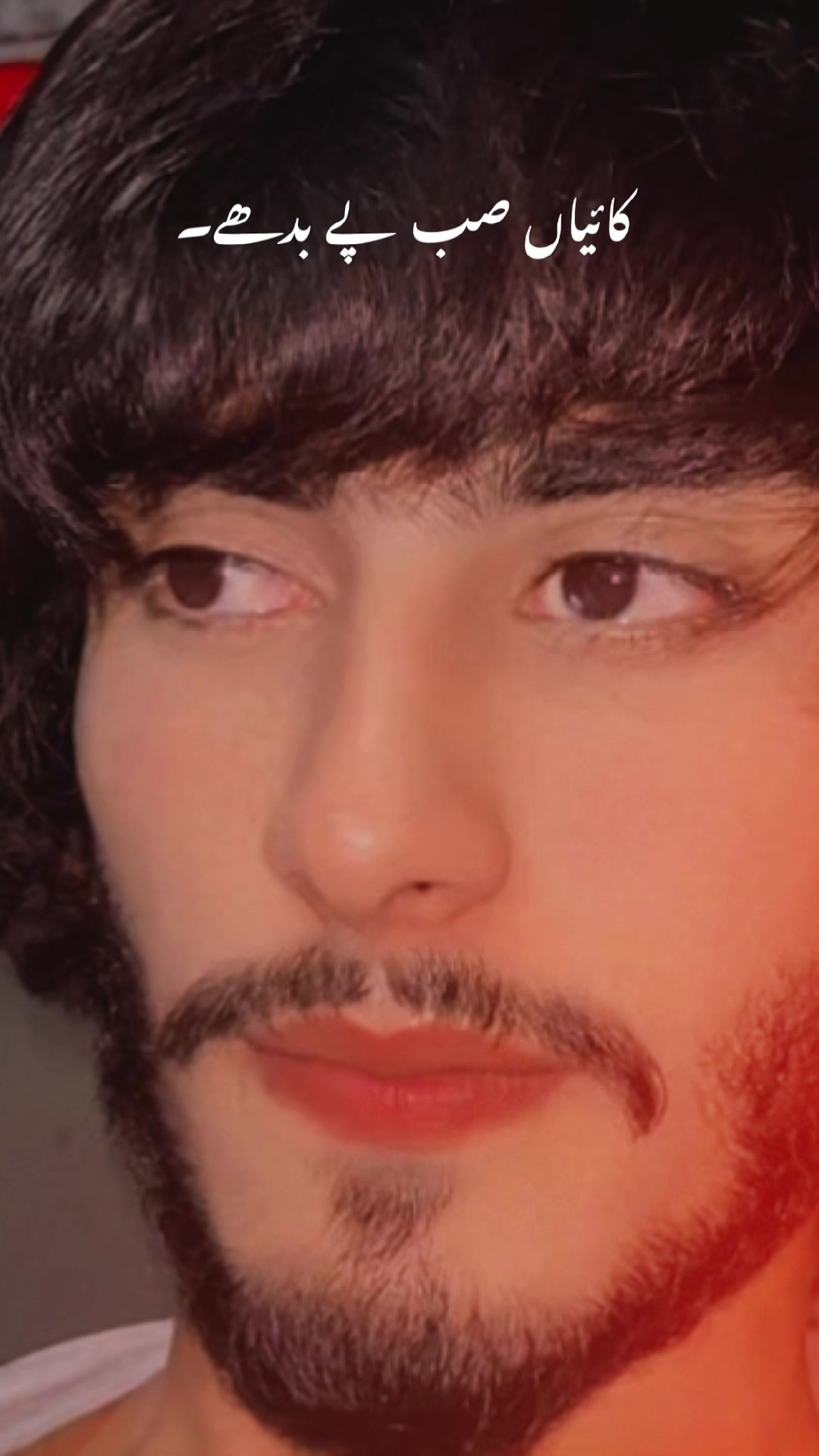 @𝘿𝙖𝙣𝙞_𝙎𝙖𝙝𝙖𝙗