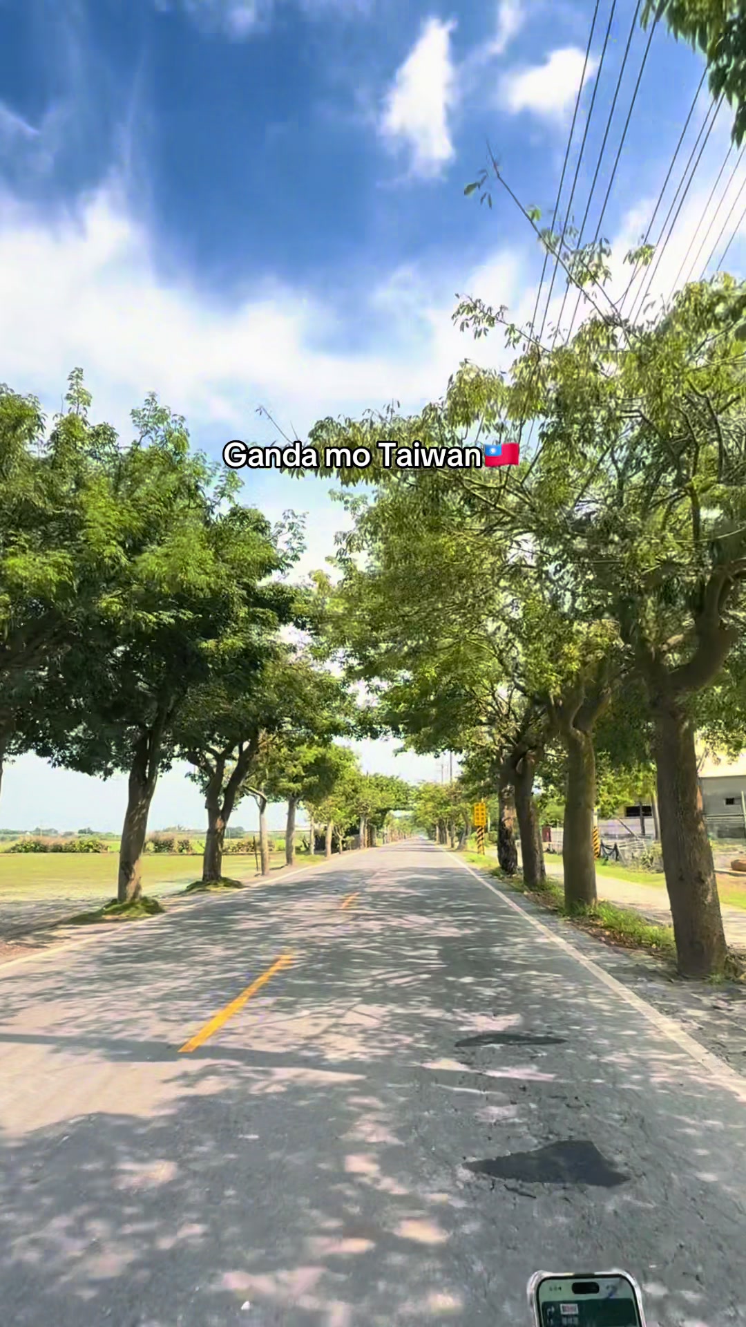 @n i c a ᥫ᭡