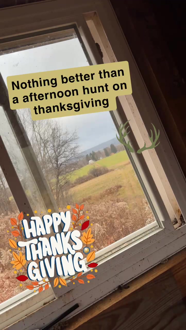 @Halie (SAHMx3)