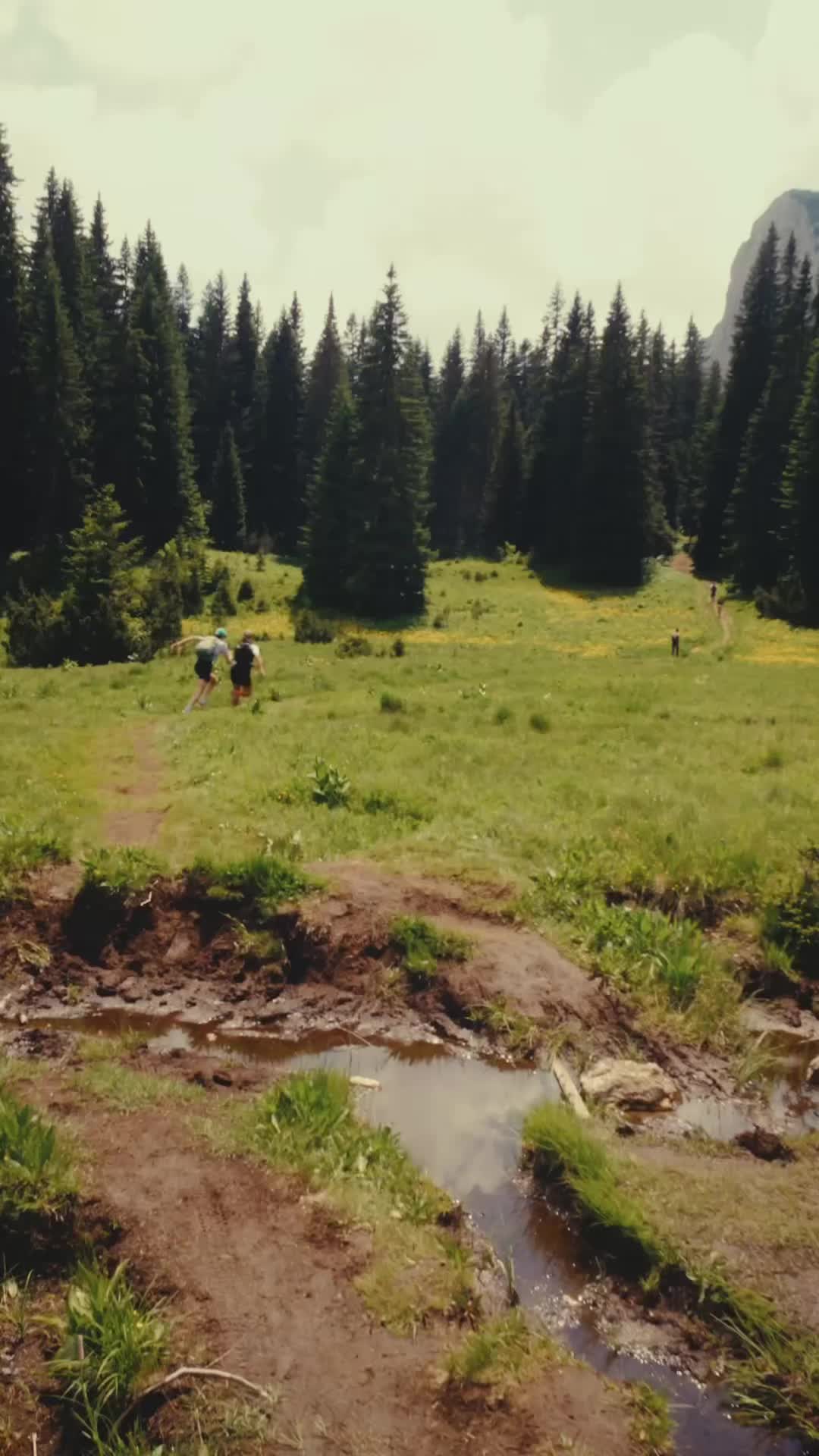 @Polarsteps