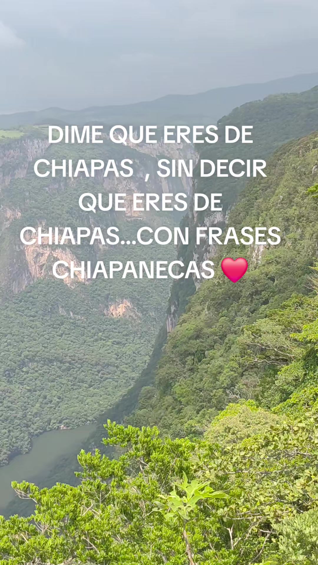 @ISA OCHOA