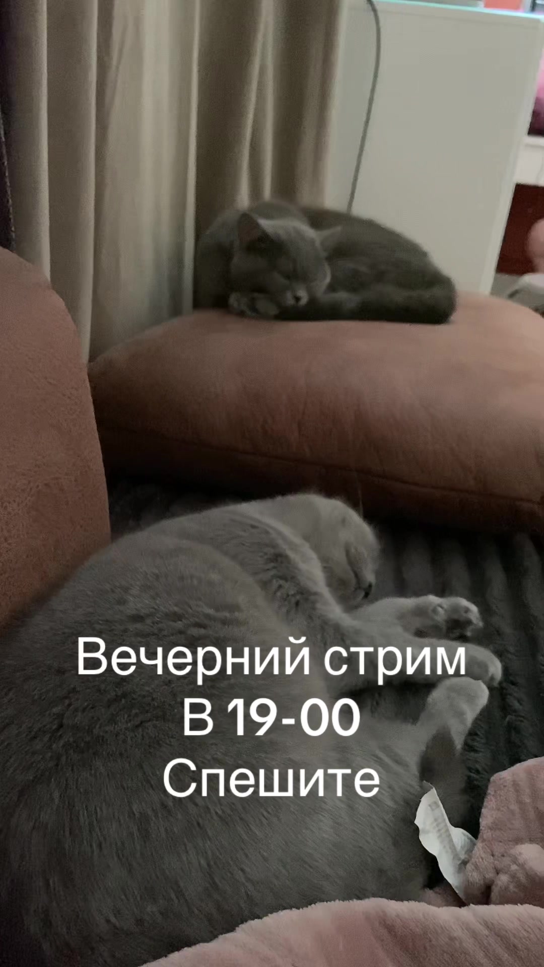 @ВИКУСЯ ЯСНОВИДЯЩАЯ