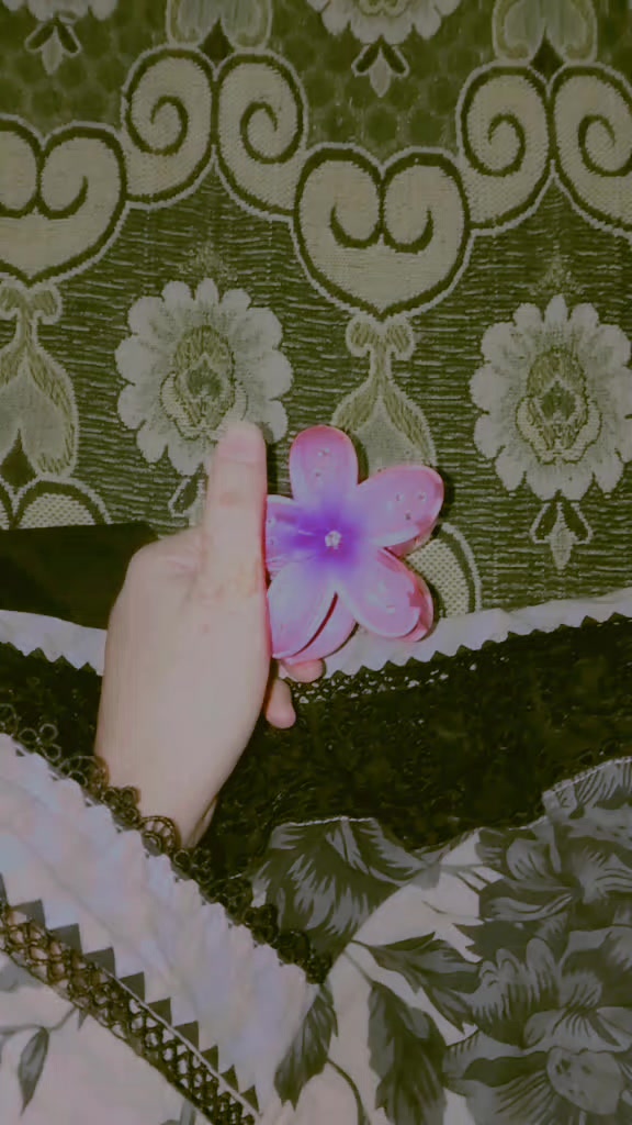 @MANOoᥫ᭡