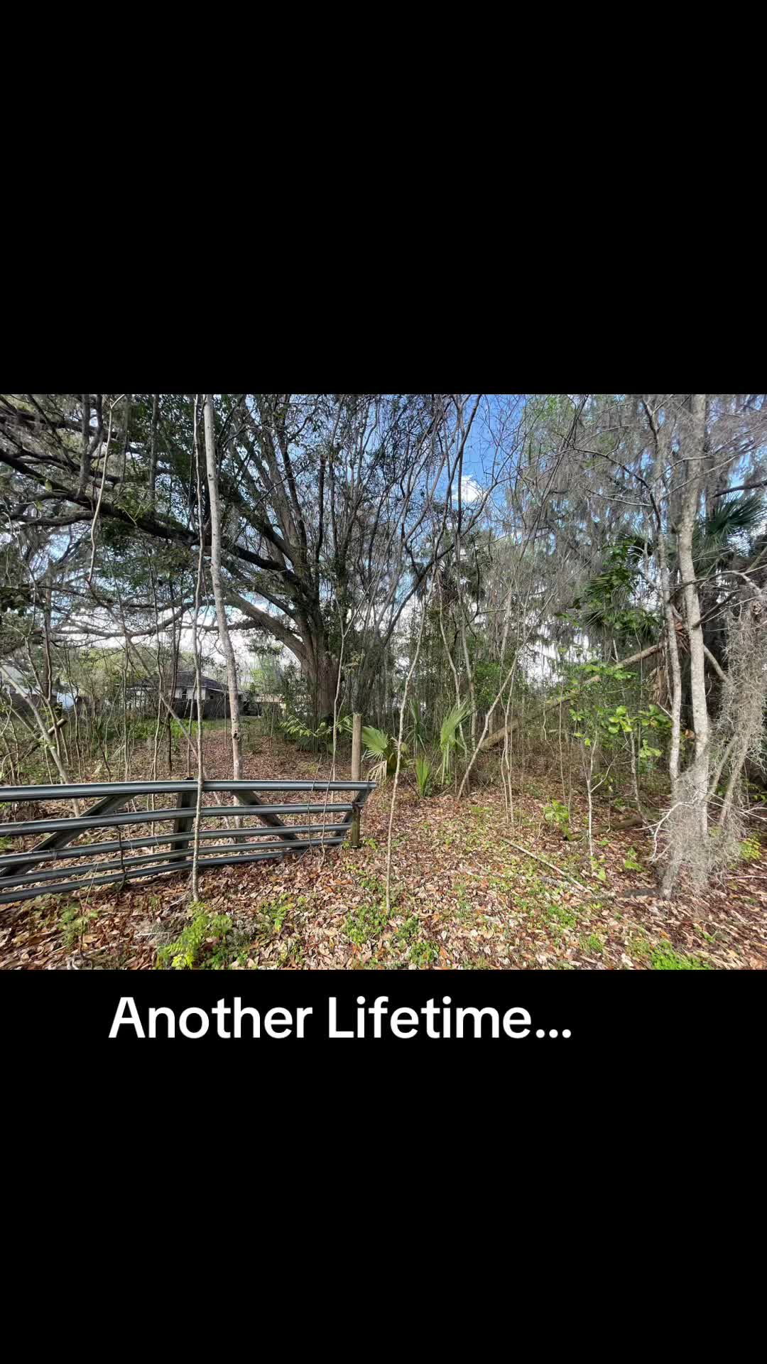 @scott_keller_realtor