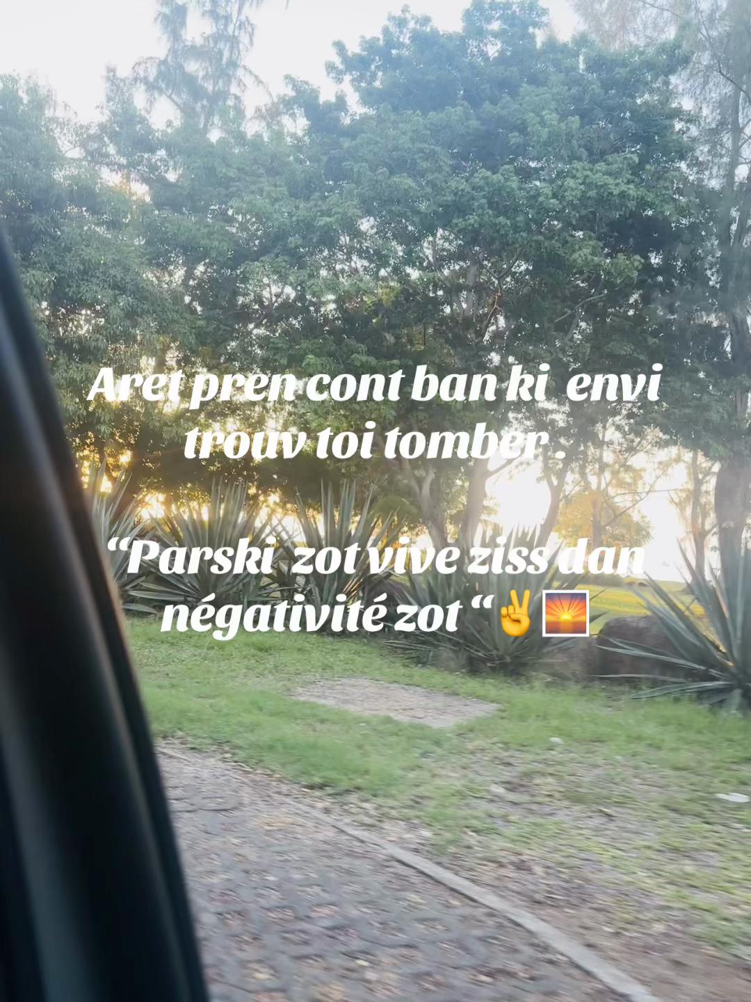 @AY 🦢🔋