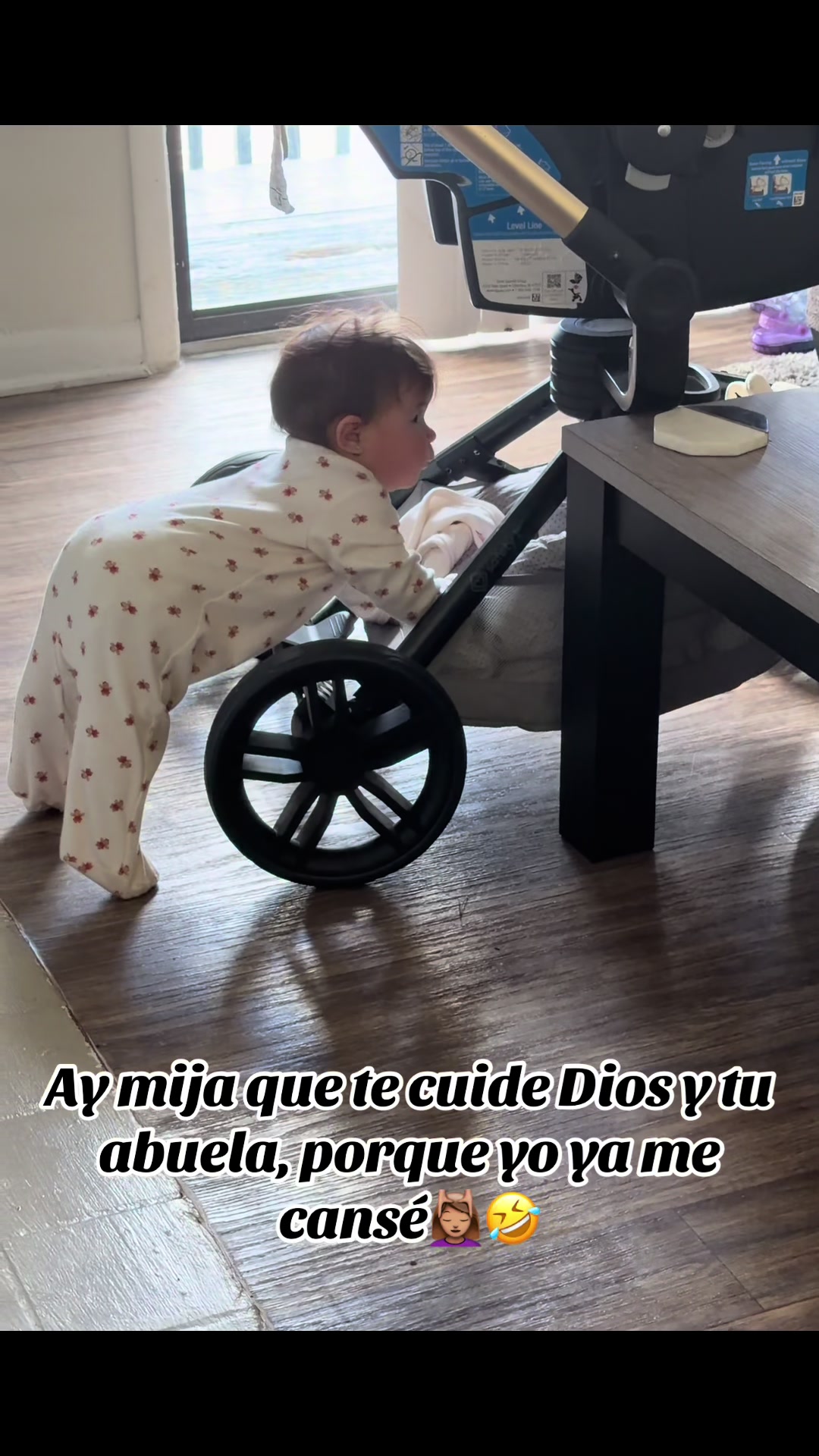 @anny