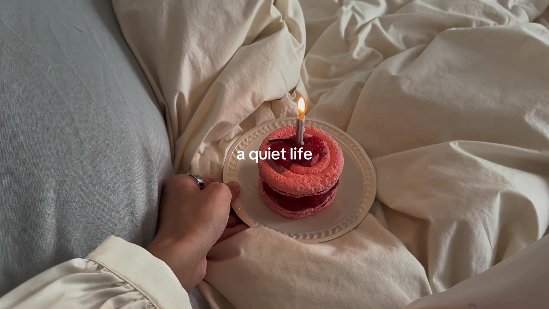 @rita | content creator 🧸
