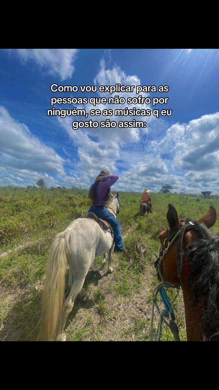 @Sara Ferraz