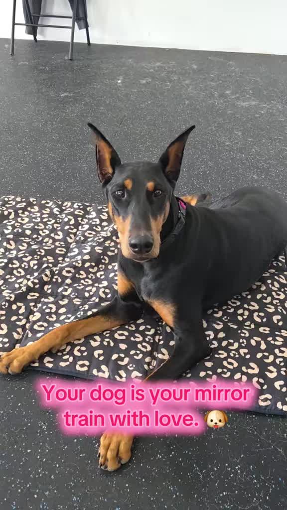 @Dobergoats Cash & Kaia