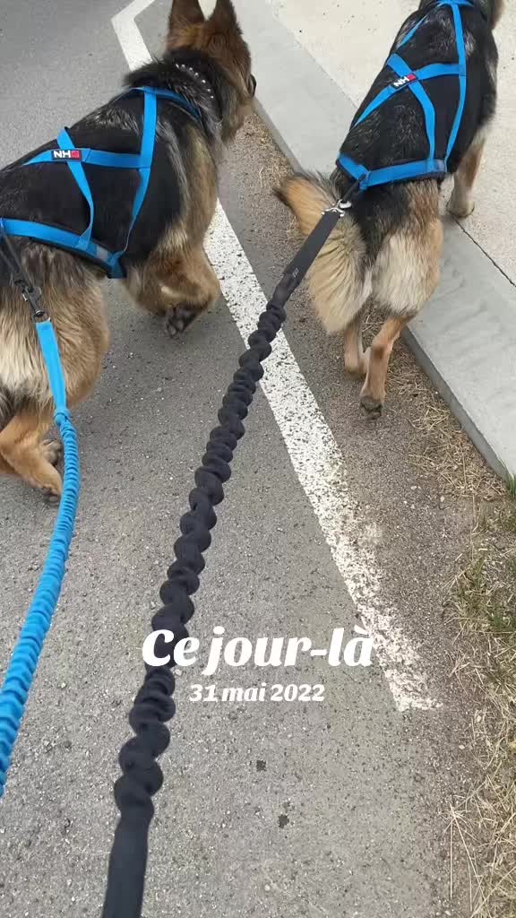 @Tiphanie Titi Hervie