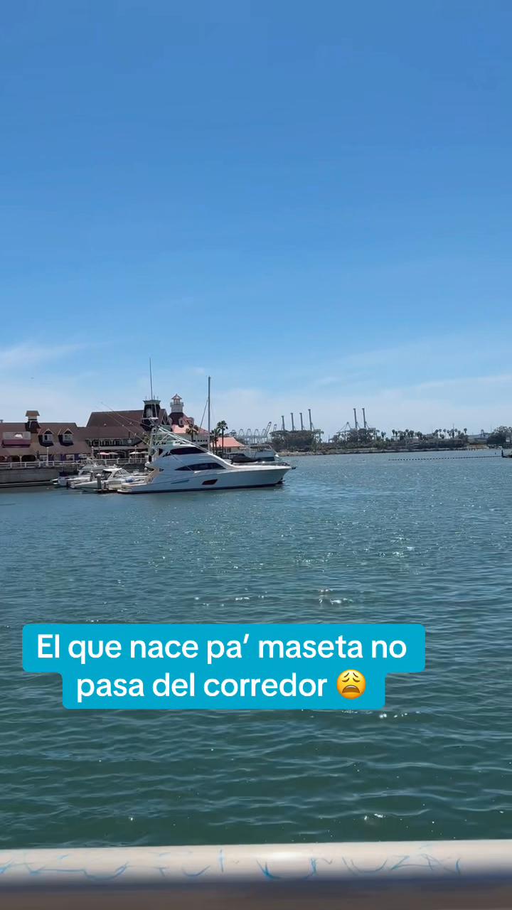 @Tania 🩵