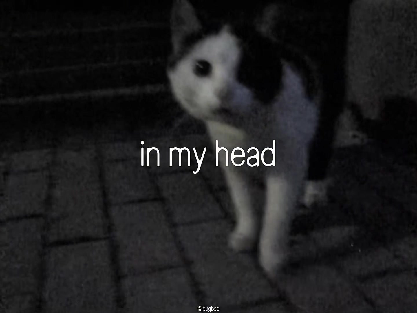 @bug