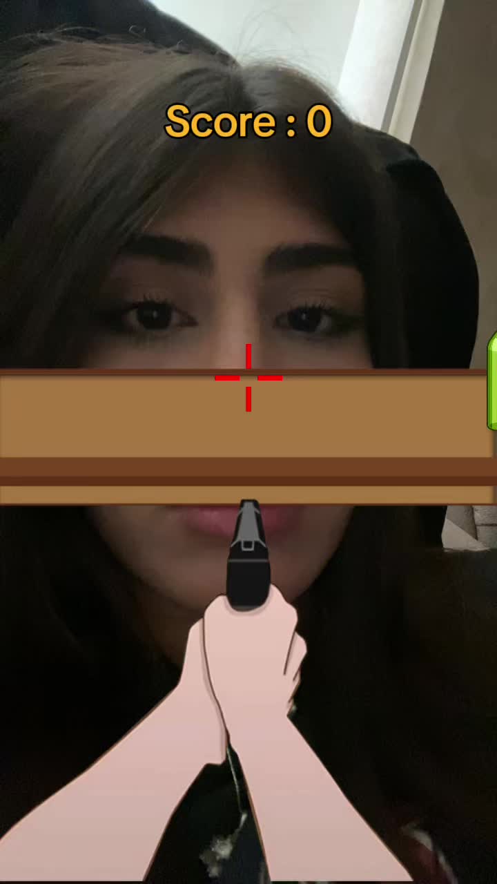 @hanieh