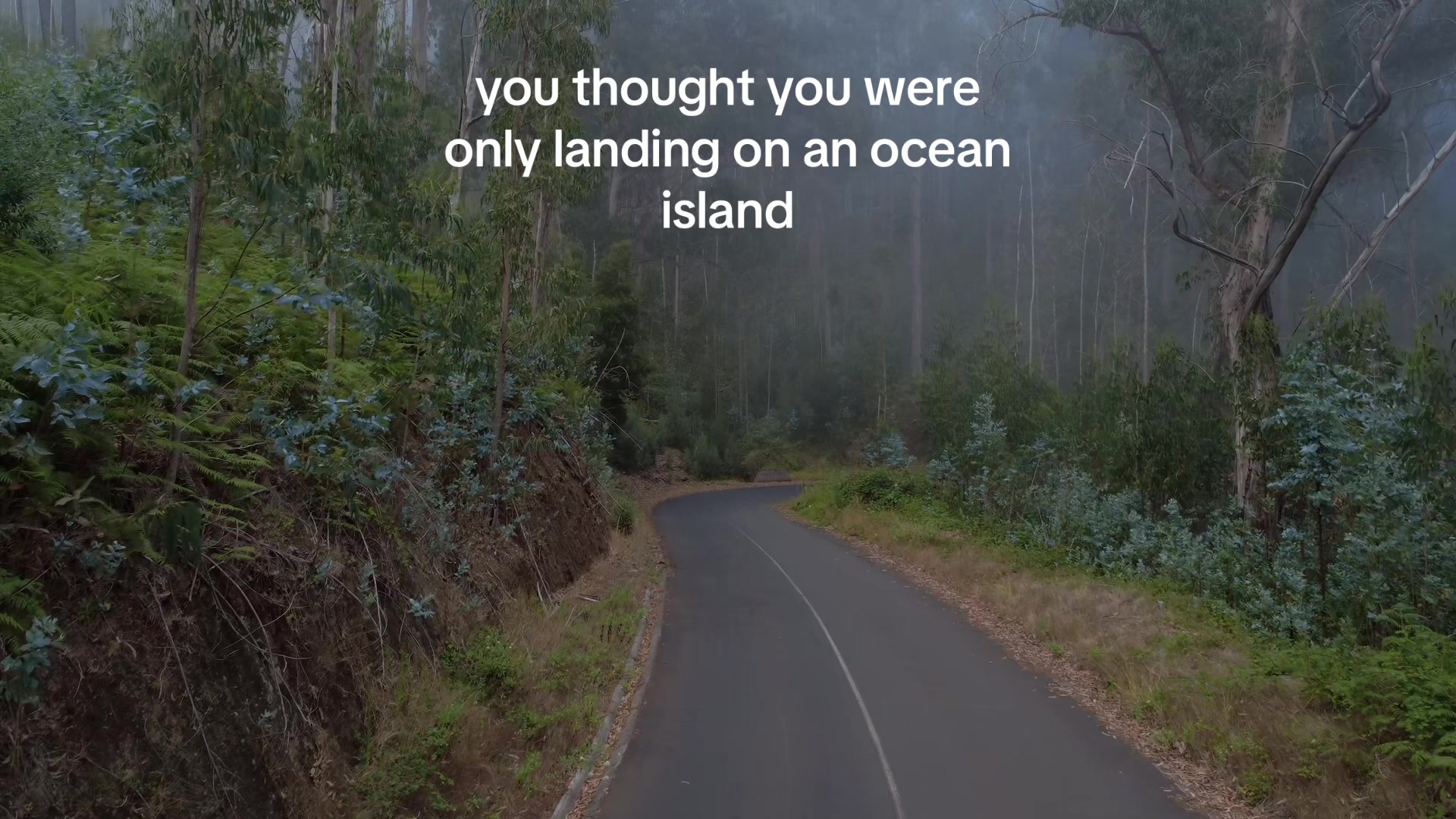 @ari!
