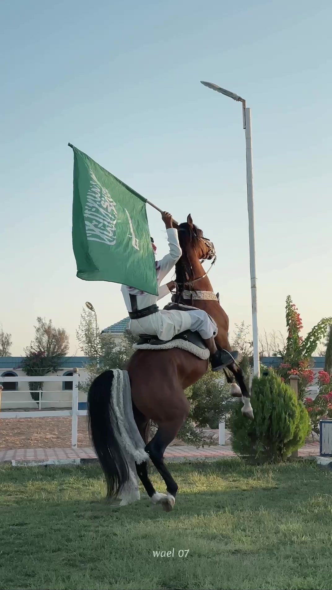 @هاني الدابس الشراري🐎