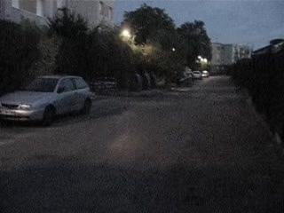 @ֶָ֢