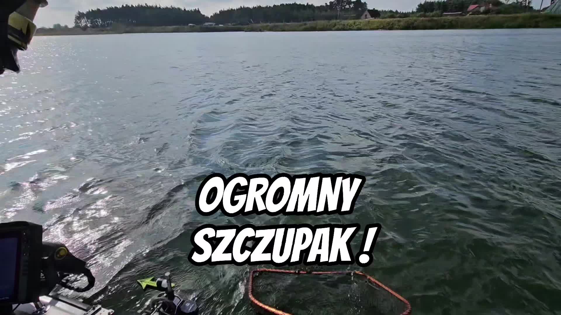 @mfly_lures