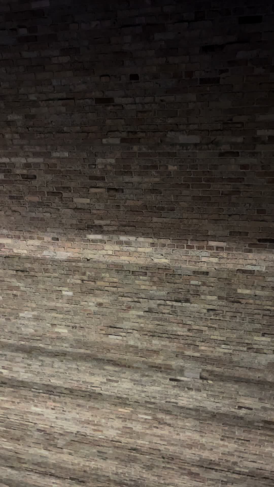 @shitfart__