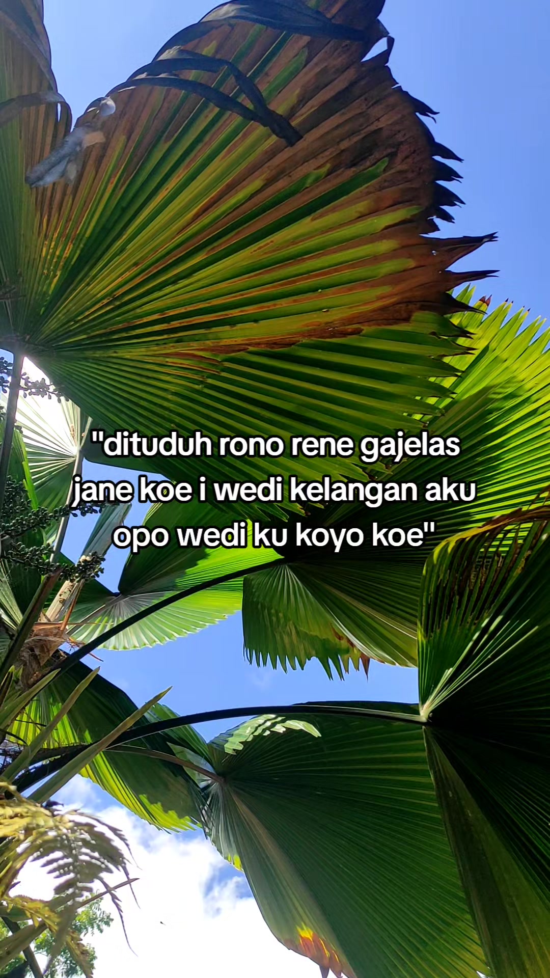 @Chandra Ailv