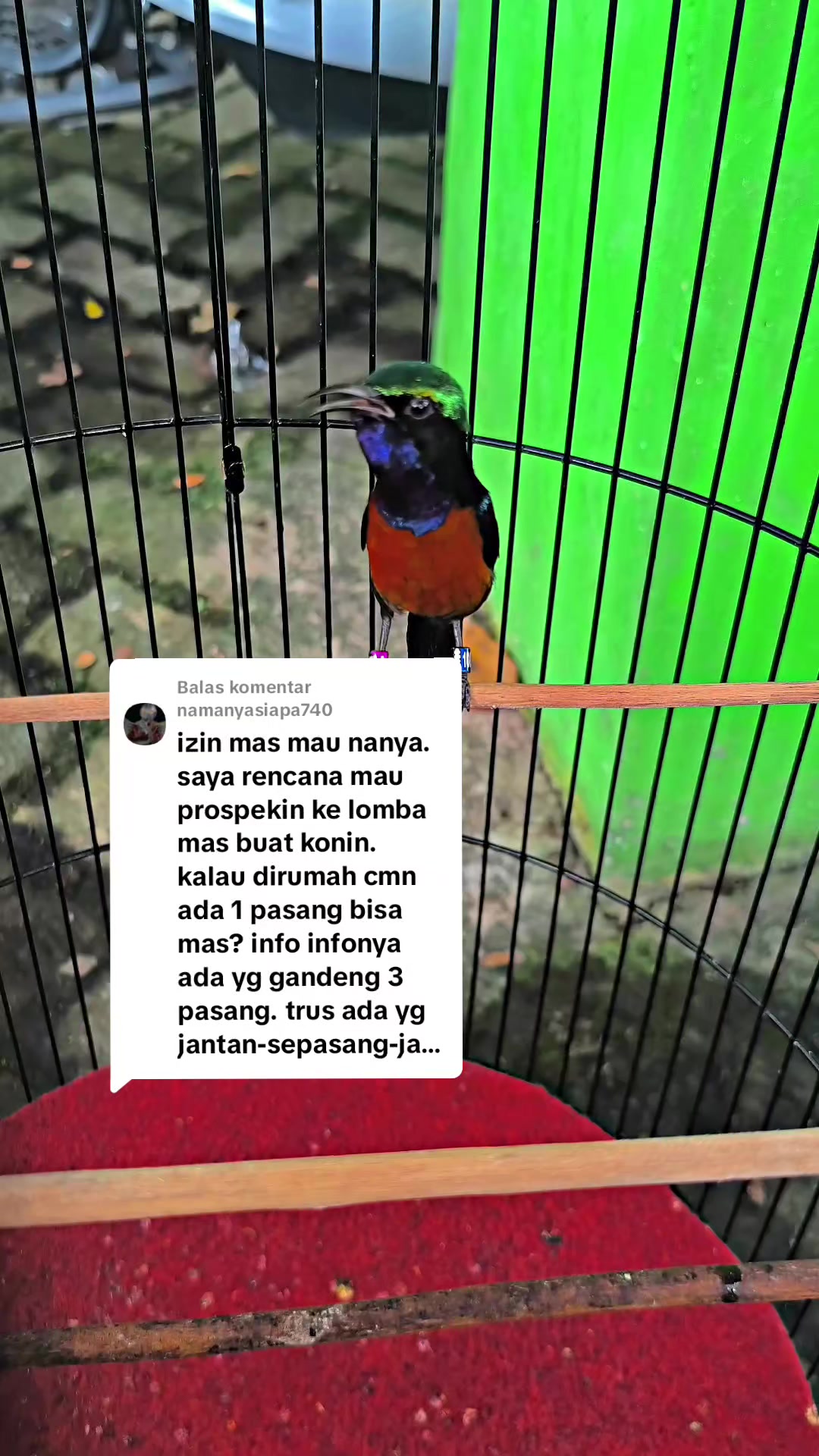 @banjarrayasquad