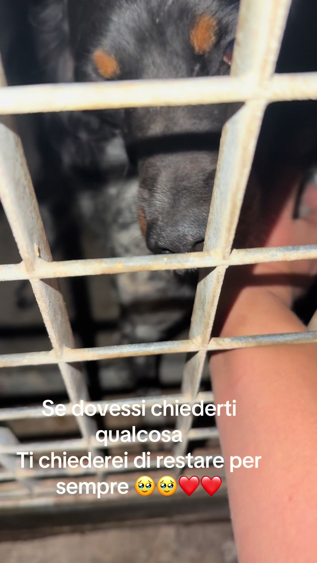 @Silvia Licata