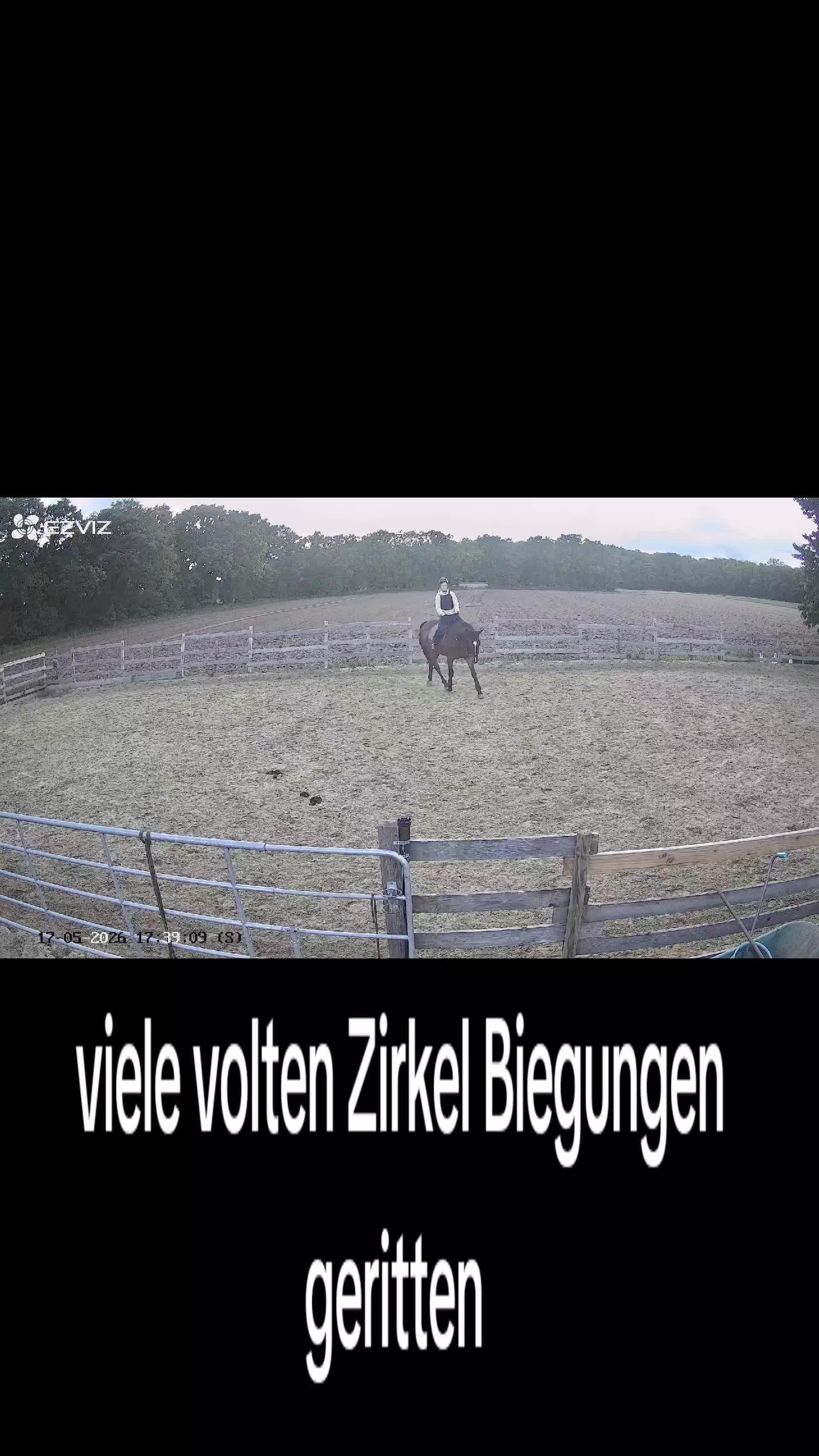 @Steffis_horse_world