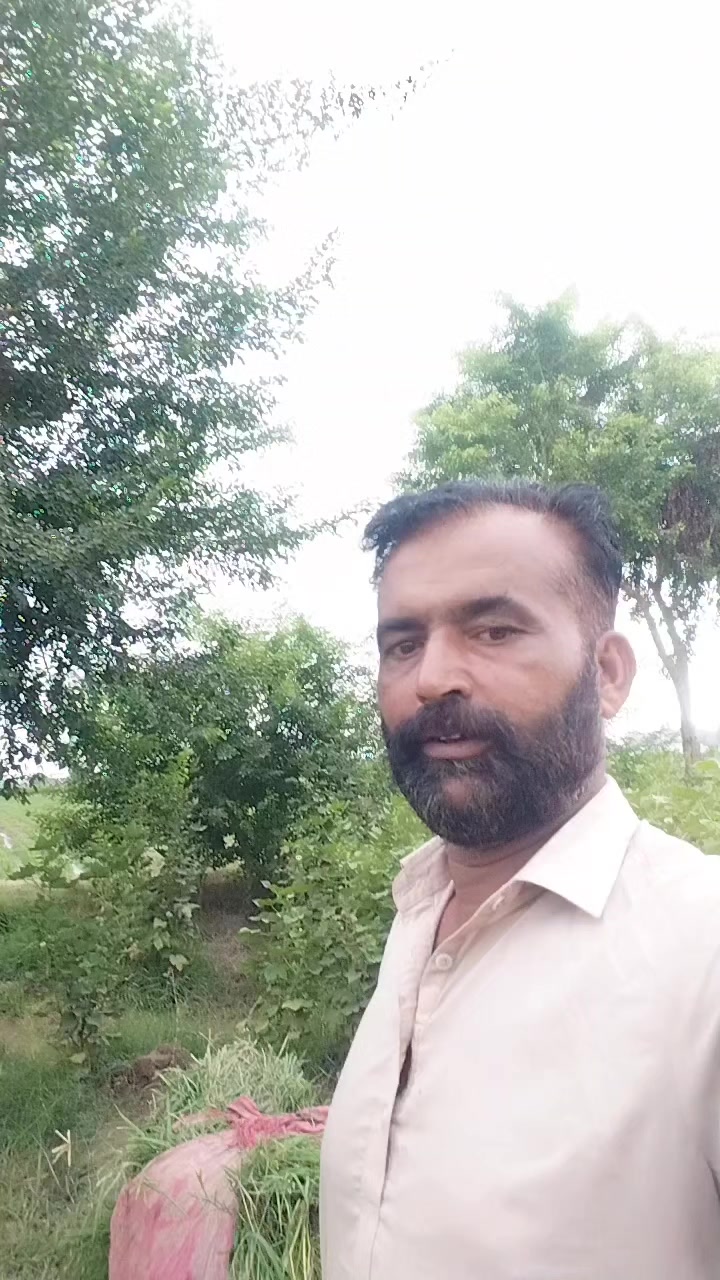 @Zameer Blouch