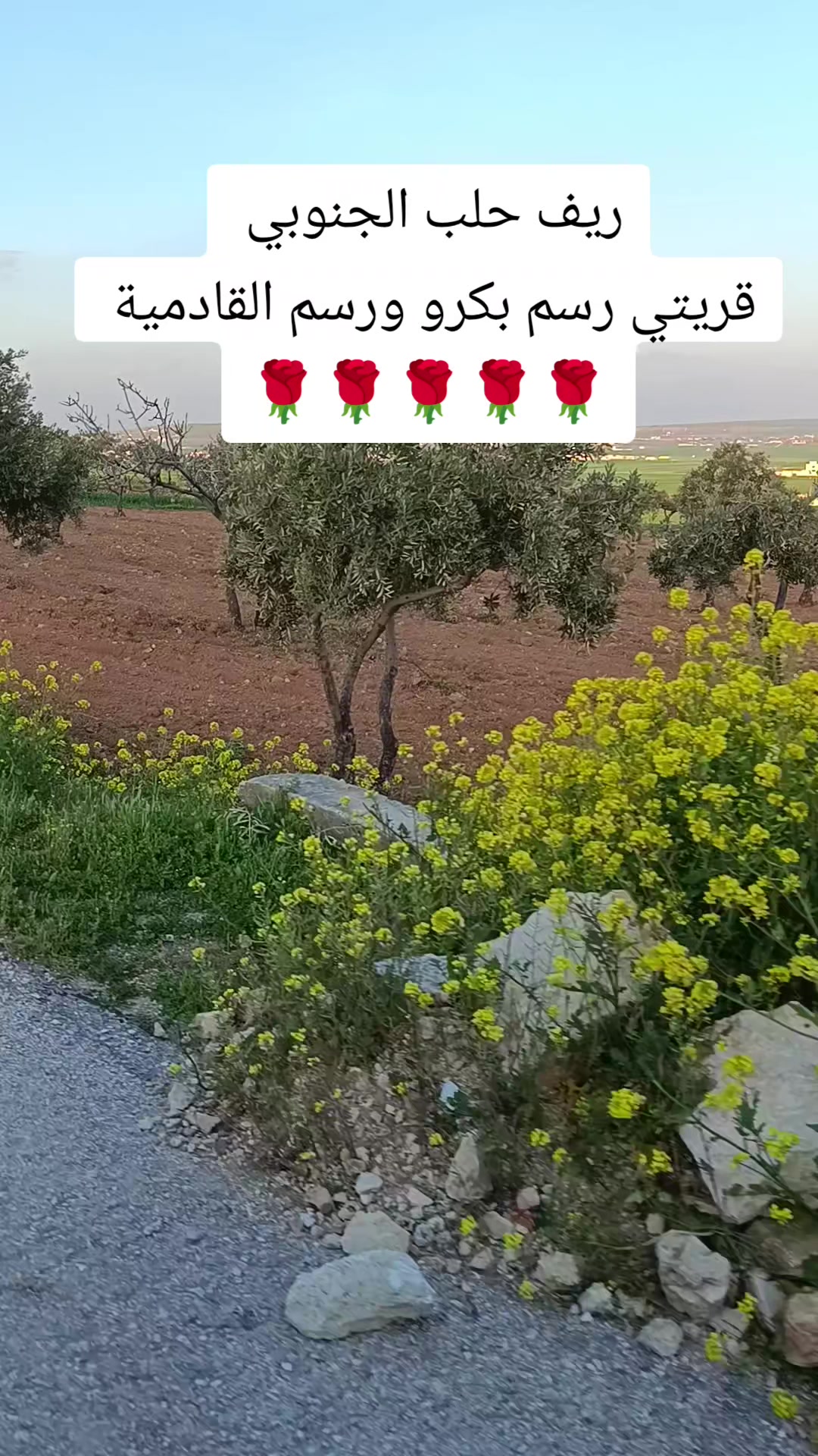 @البارون ابو عمرررررر