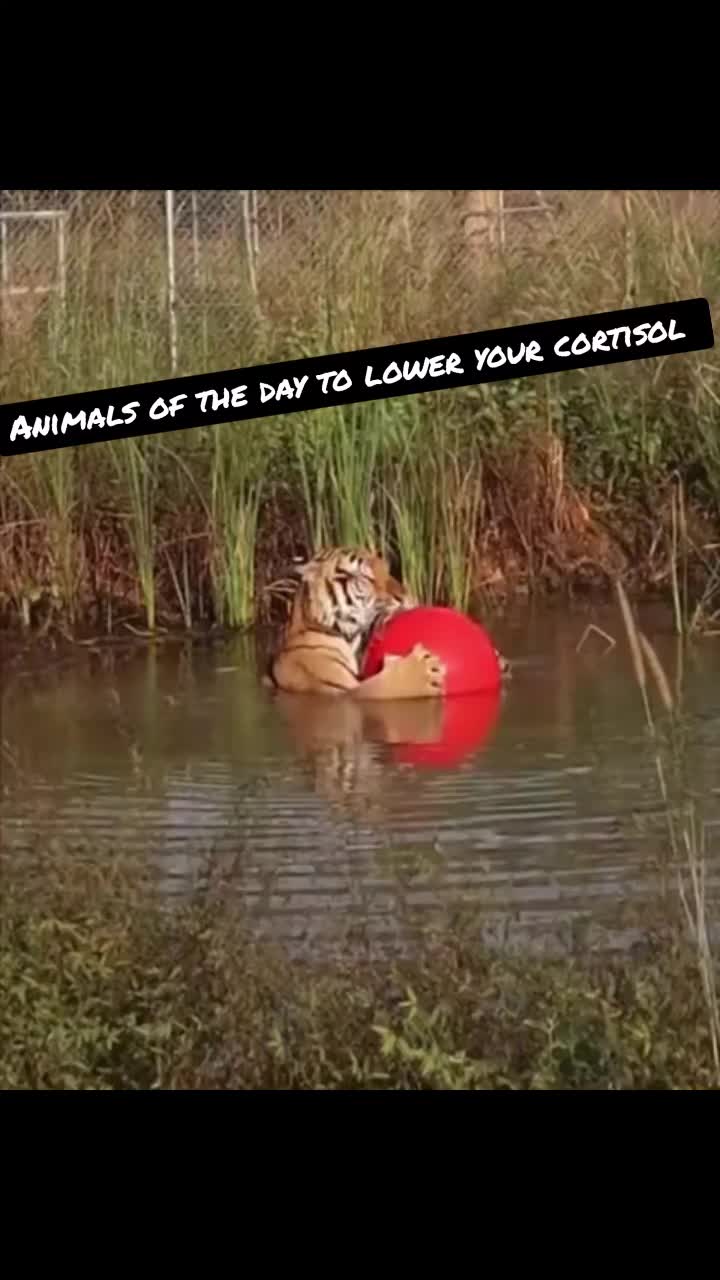 @Slothmymango