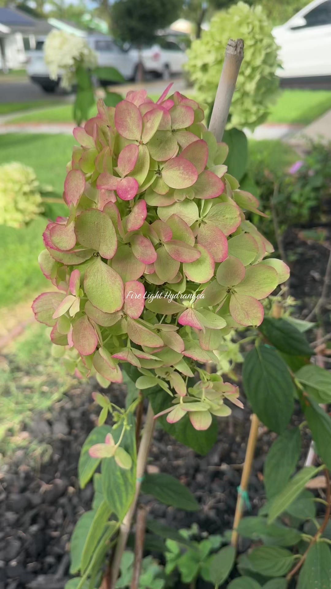 @heartandgarden