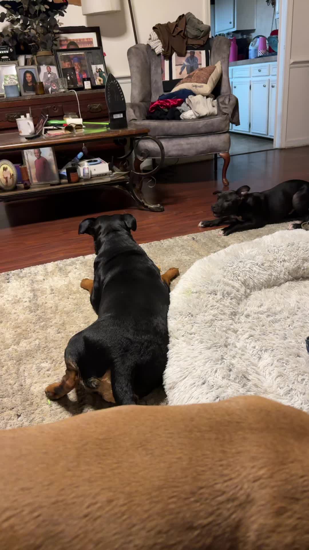 @TheHobsonSquad