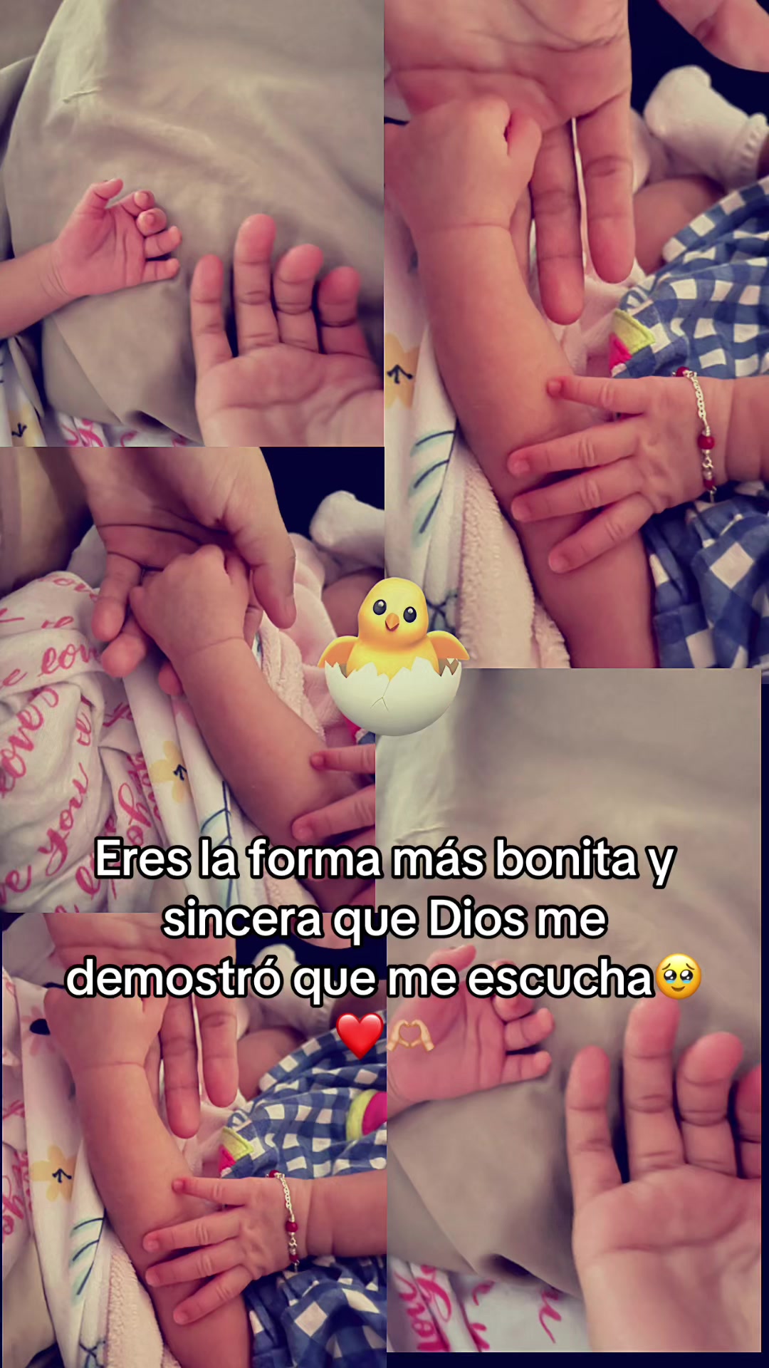 @Paolin