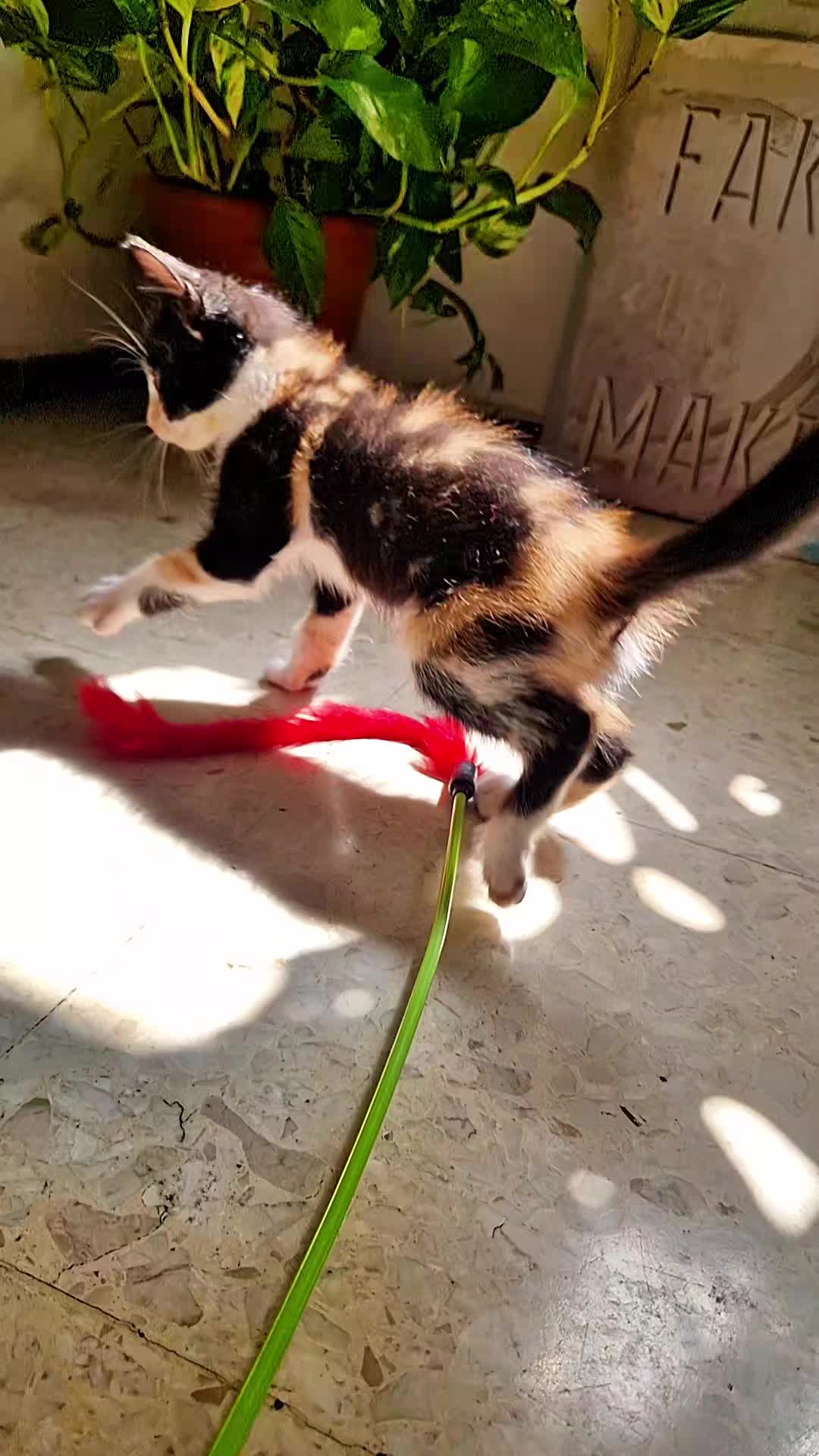 @Alba Rubio🌹