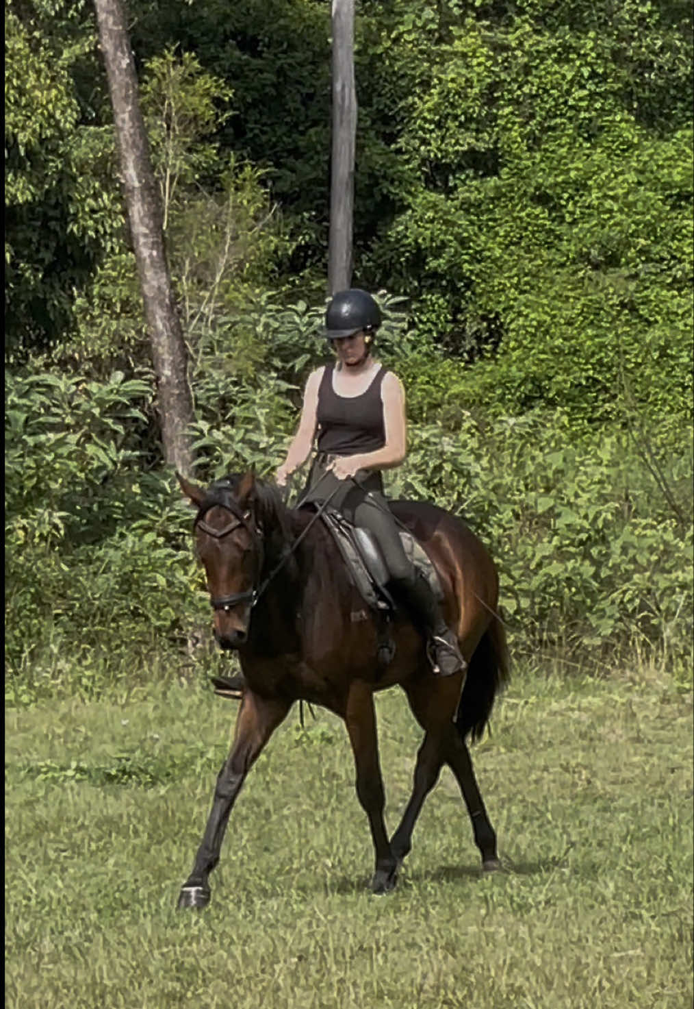 @Double F Performance Horses