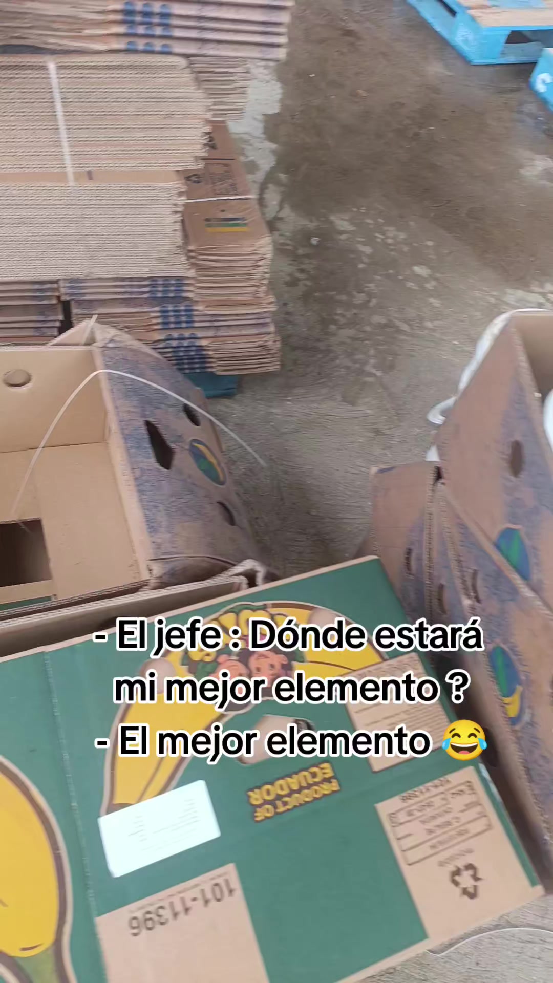 @Iván ft