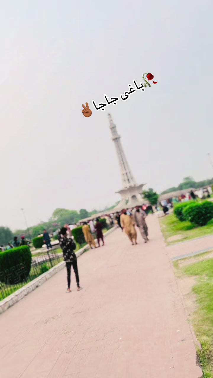 @باغی جاجا 303