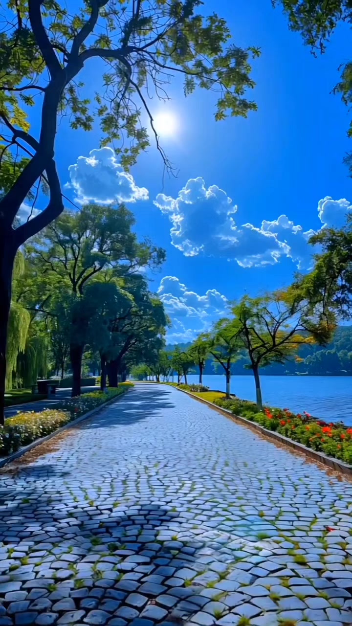 @𝑩𝑬𝑻𝑶 𝑪𝑨𝑴𝑨𝑹𝑮𝑶 🇧🇷