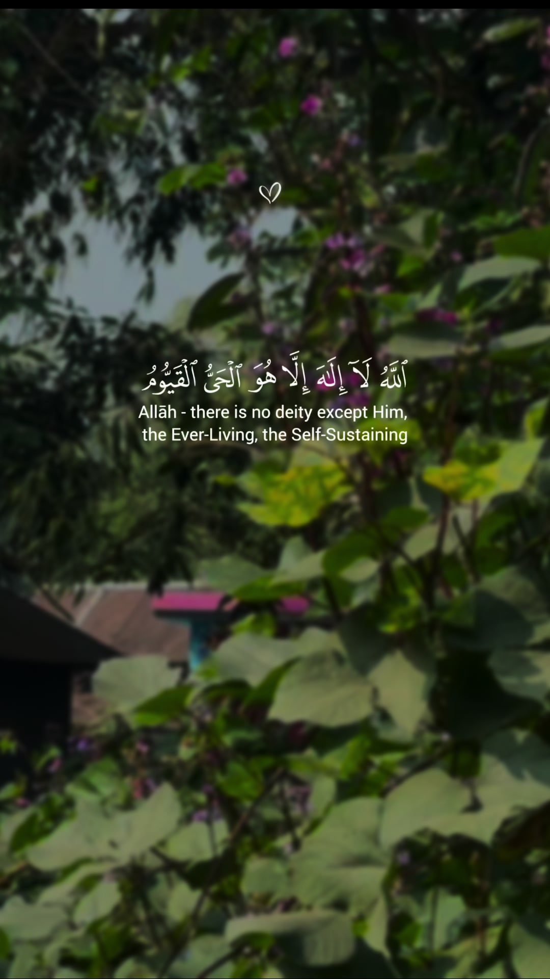 @Rayhan Miah