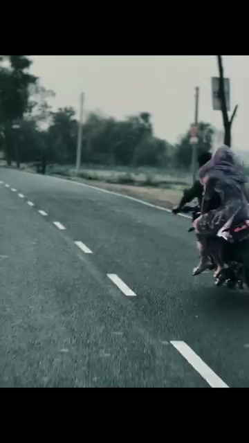 @আই মিস ইউ পাখি 🕊️❤️&zwj;🩹