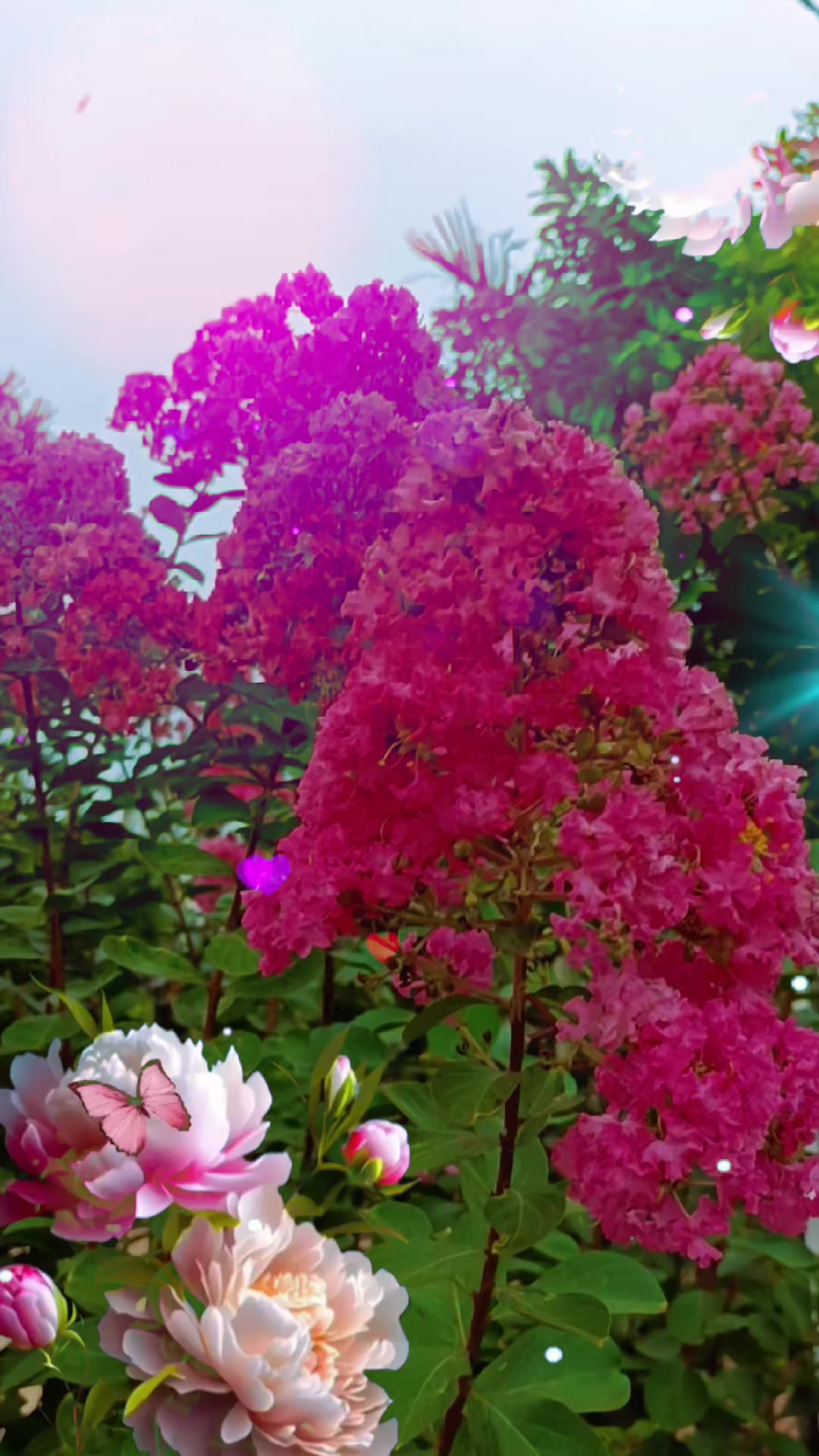@Hữu.Nguy&ecirc;n 57